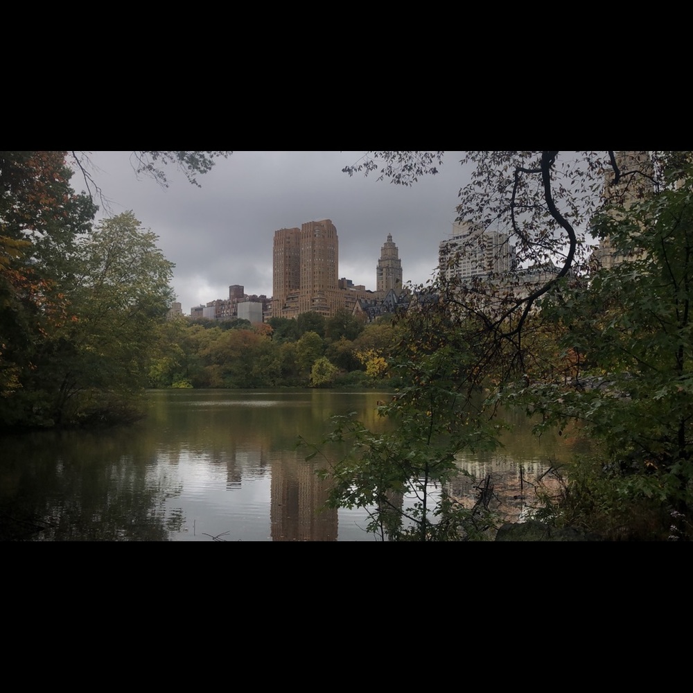 Meet your Posher, Shawn